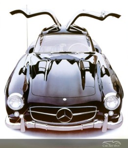 GULLWING by Harold Cleworth